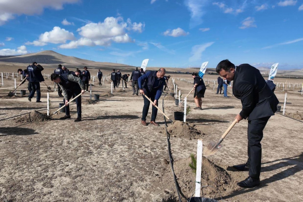 Nazirlik Zəfər Gününə həsr olunmuş ağacəkmə aksiyası keçirib Nazirlik Zəfər Gününə həsr olunmuş ağacəkmə aksiyası keçirib