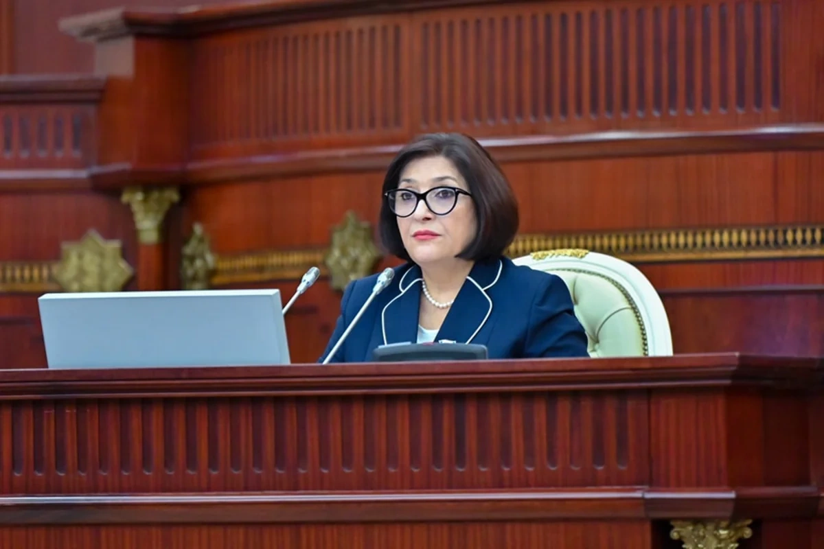 Sahibə Qafarova: Qadınların iqtisadiyyatla məşğul olması daha məqsədəuyğundur