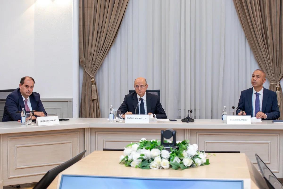 Azərbaycan və Çin yaşıl enerji layihələri və şəbəkə tədqiqatını müzakirə edib