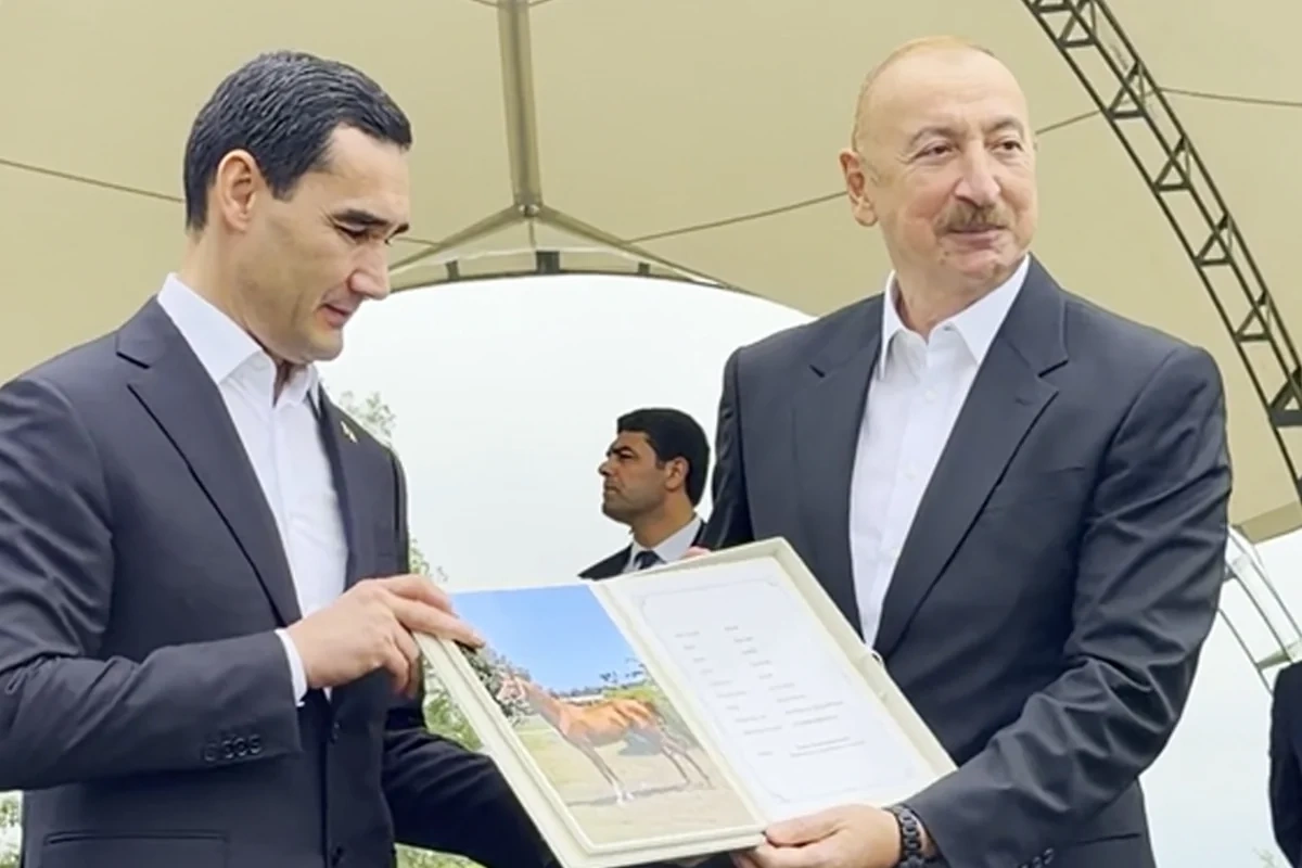 İlham Əliyev Türkmənistan dövlətinin başçısına Mərd adlı Qarabağ atını hədiyyə edib