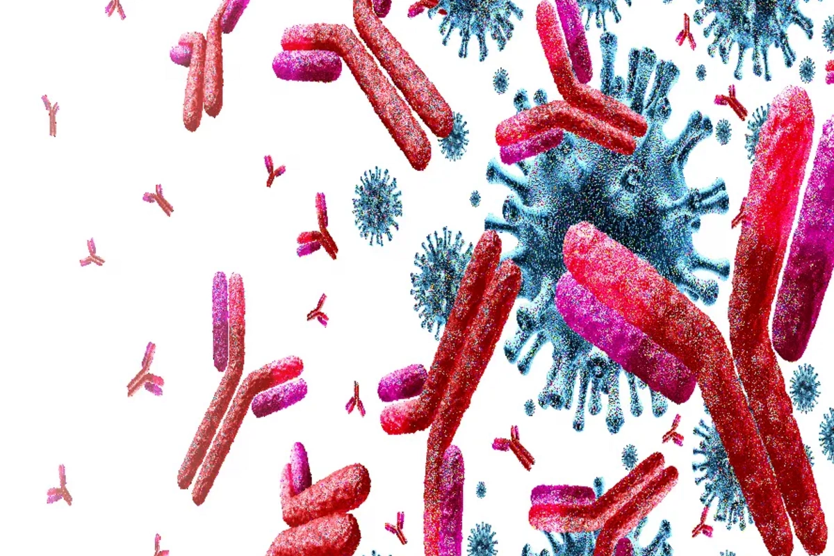 A virus has been discovered that makes fungal infections deadly A virus has been discovered that makes fungal infections deadly