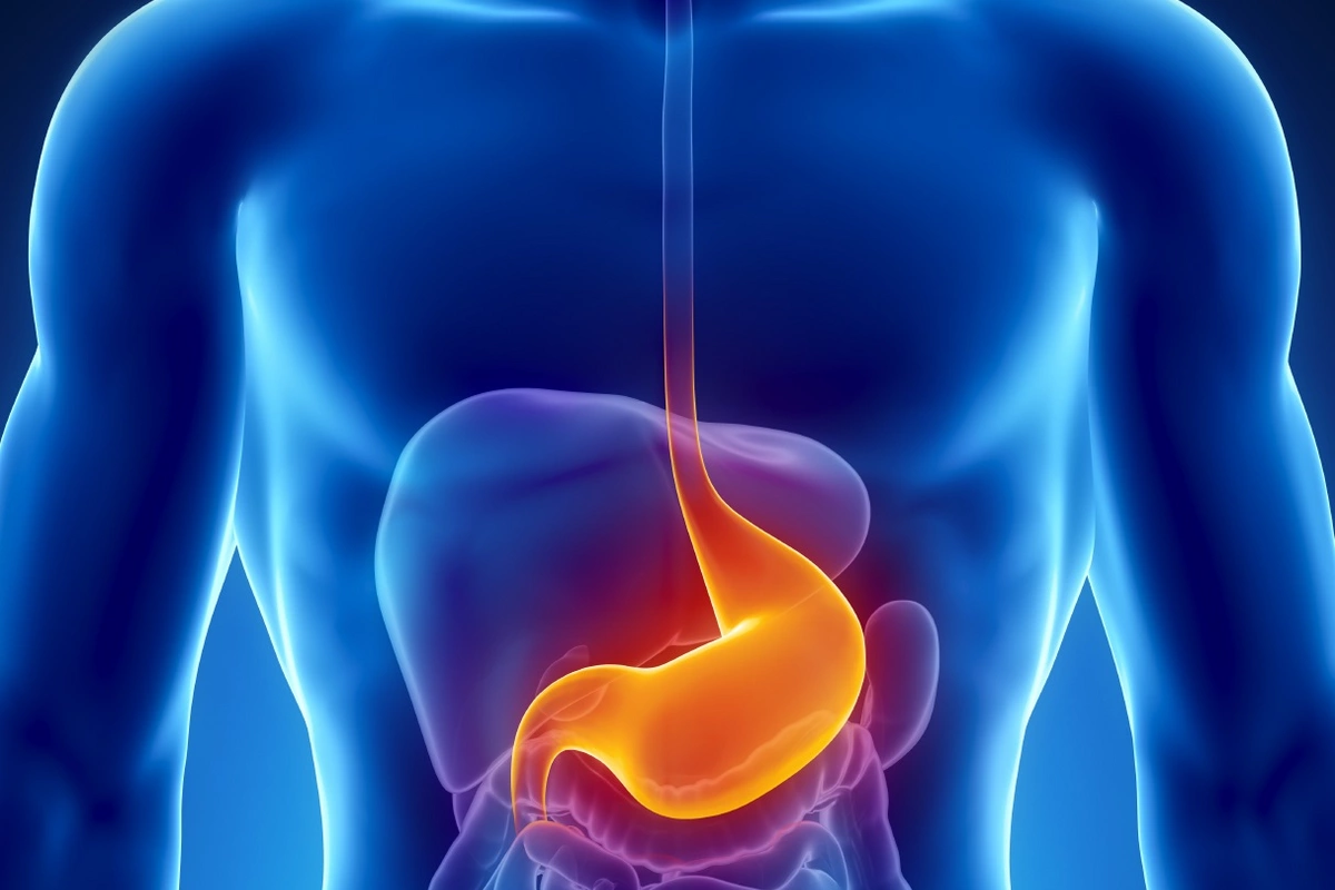 Mədəyə faydalı qidalar açıqlandı – mütəxəssislərdən tövsiyələr