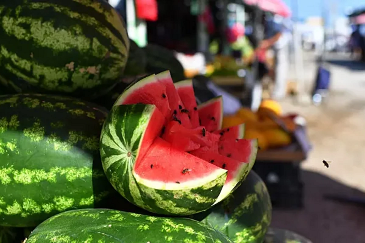 Timeframes for the appearance of safe watermelons announced## Prompt Engineering Timeframes for the appearance of safe watermelons announced## Prompt Engineering
