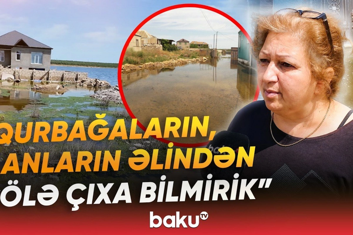 Məmmədlidə sakinlər kömək gözləyir - Ərazidə zəhərli heyvanların peyda olduğu iddia edilir