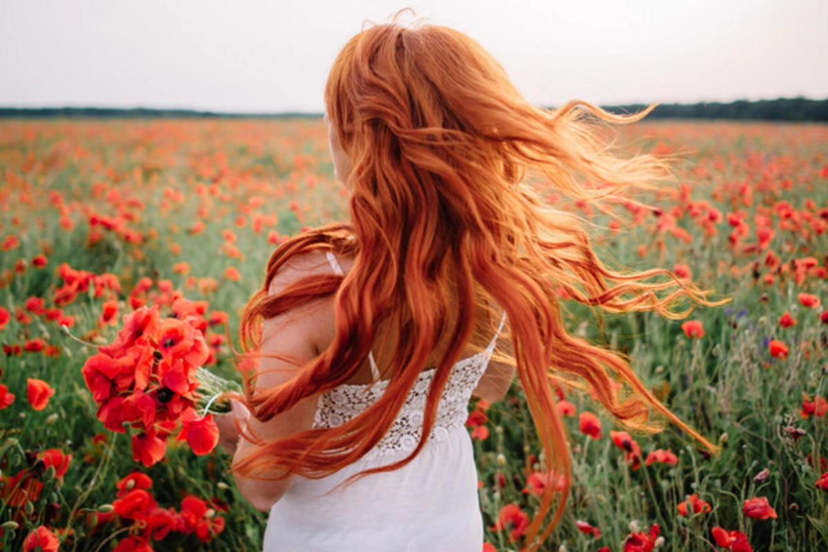 Scientists are trying to understand why the number of redheads in Europe has sharply increased