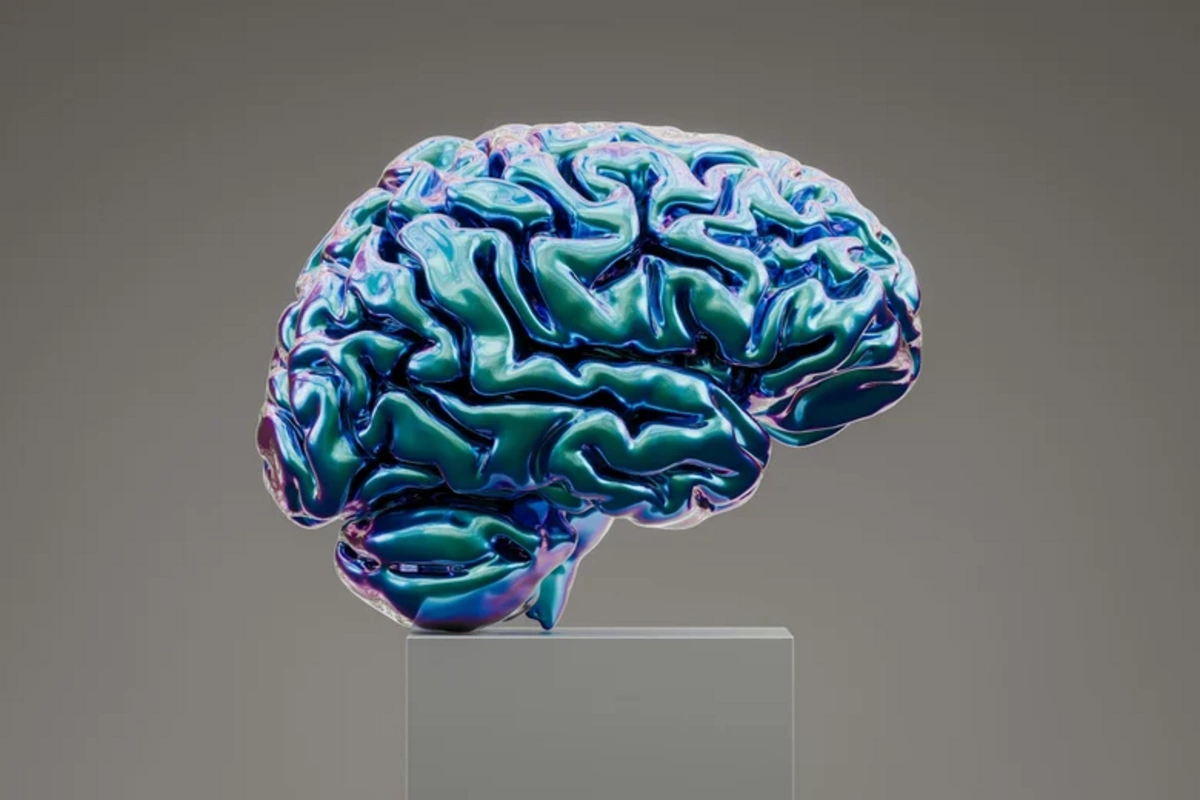 A simple way to diagnose the condition of the brain in 15 seconds has been identified