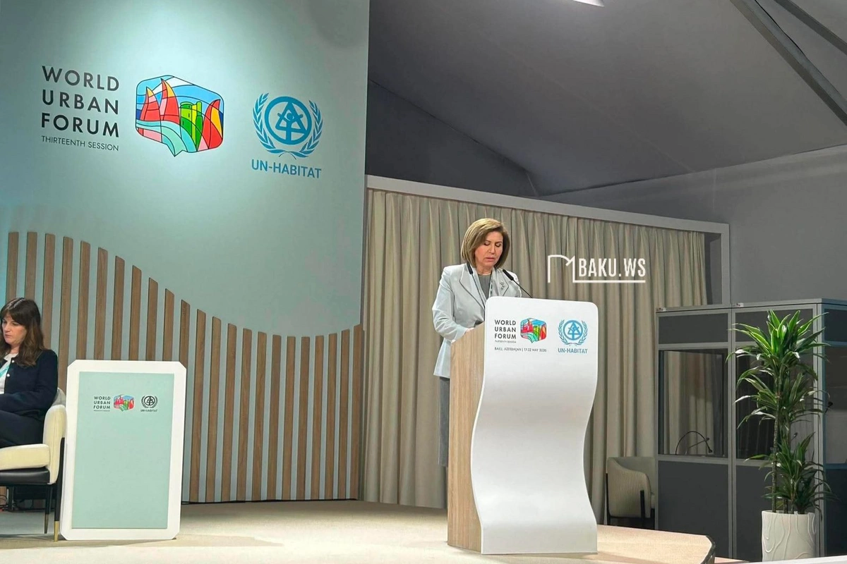 Bahar Muradova: Qadınlar üçün təhlükəsiz və adekvat mənzil hüququ qlobal prioritetdir