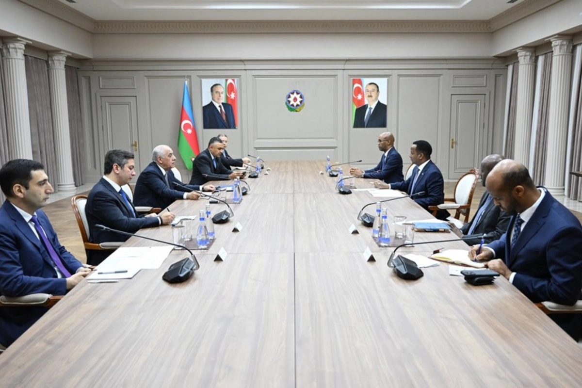 Əli Əsədov Somalinin xarici işlər və beynəlxalq əməkdaşlıq naziri ilə görüşüb