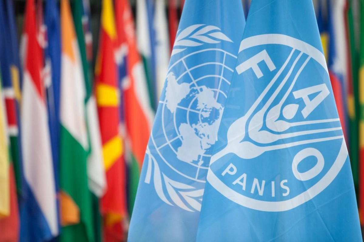 FAO: Azərbaycan dünyanın bioloji baxımdan ən zəngin ekosistemlərindən biridir FAO: Azərbaycan dünyanın bioloji baxımdan ən zəngin ekosistemlərindən biridir