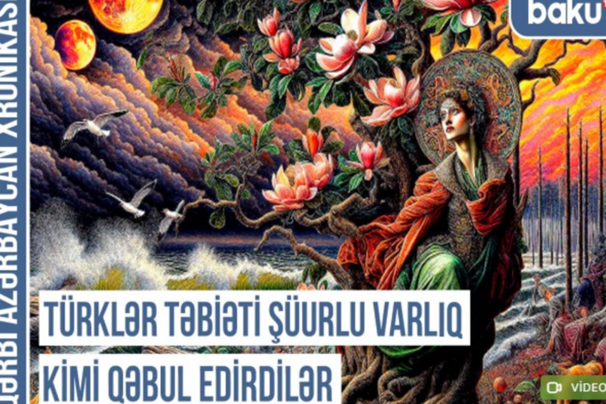 Qərbi Azərbaycan Xronikası: Türklər yaşadıqları hər yerdə qaya üstündə təsvir yaradırdılar