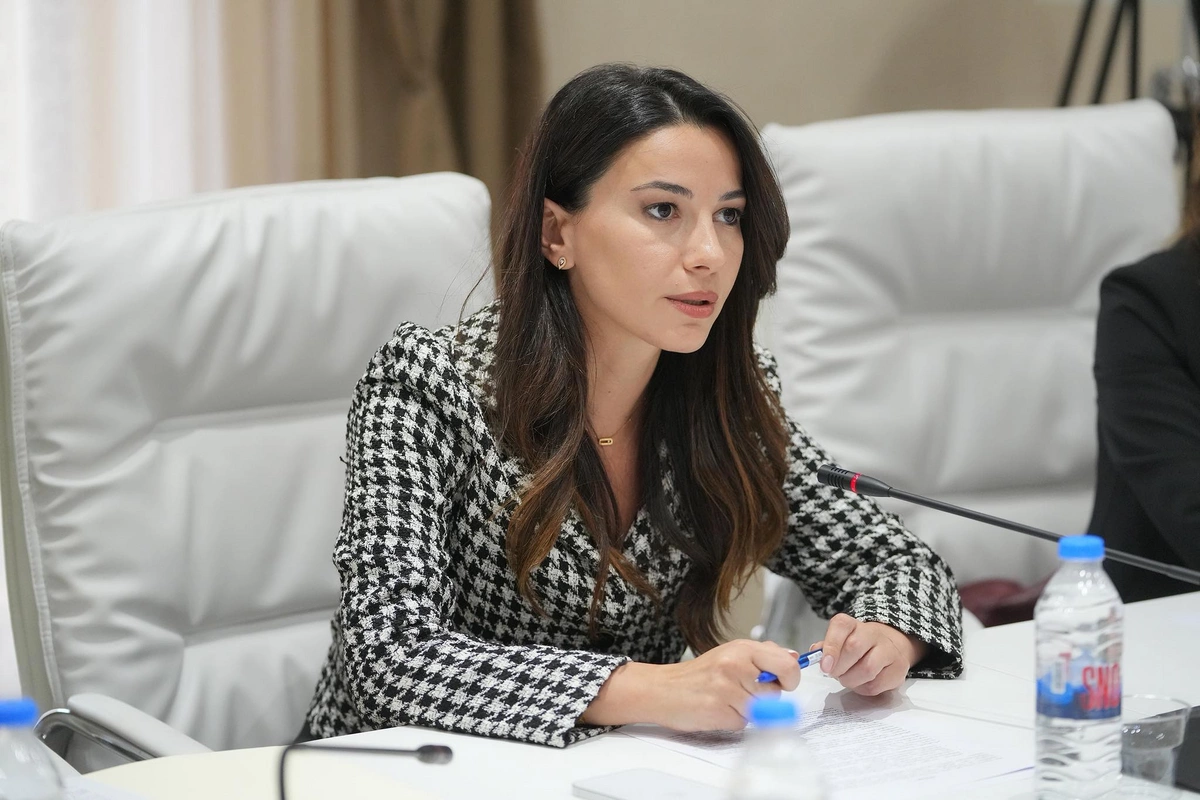 Gürcü nazir: Gələn il Bakı-Tbilisi-Qars dəmir yolu və enerji sektoru prioritet olacaq