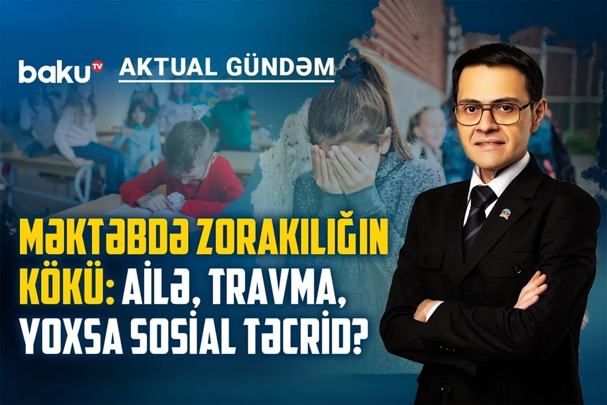 Məktəblərdə silahlı hücumlar niyə artır, uşaqlar nəyi demək istəyirlər?
