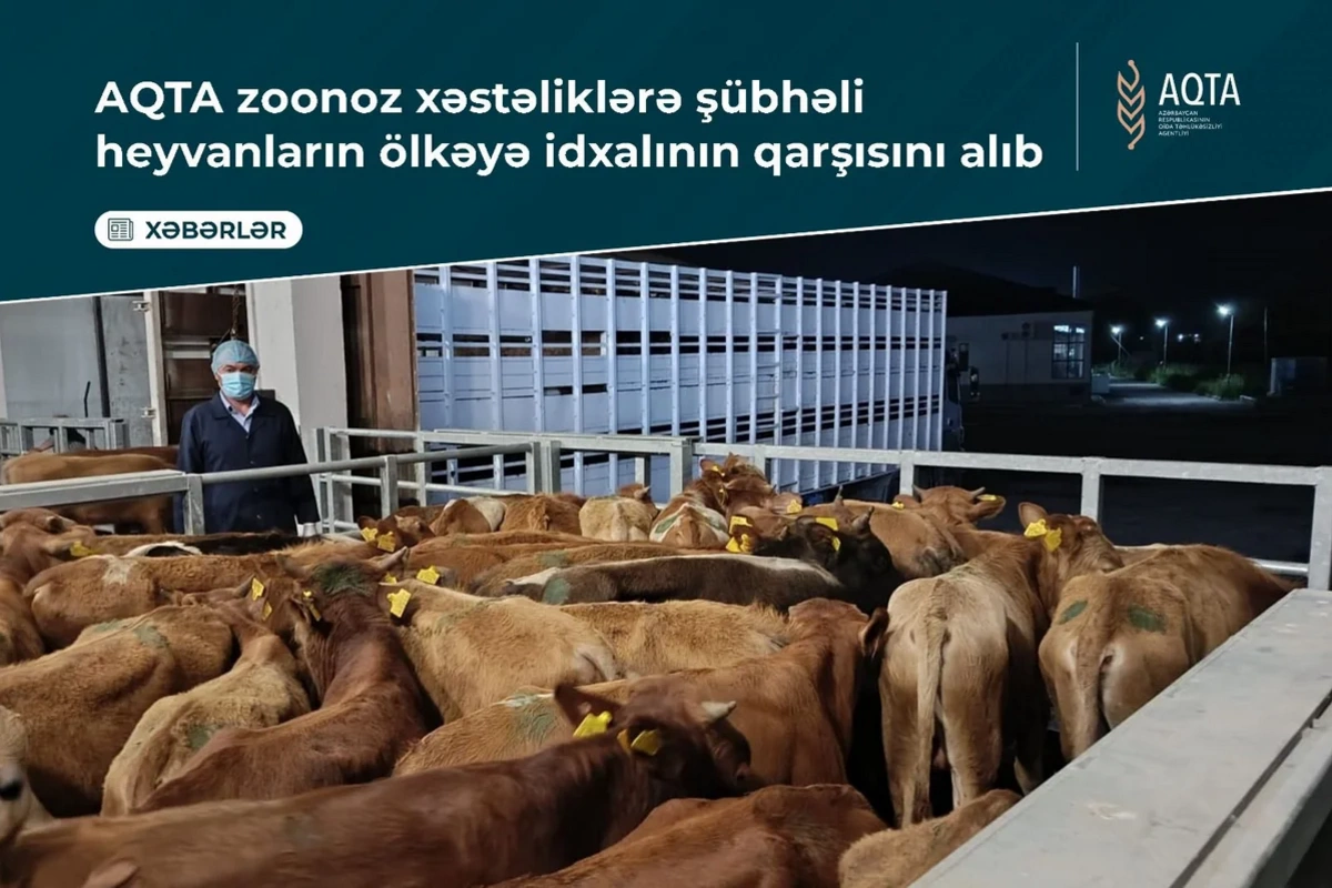 Azərbaycana xəstə heyvanların gətirilməsinin qarşısı alındı
