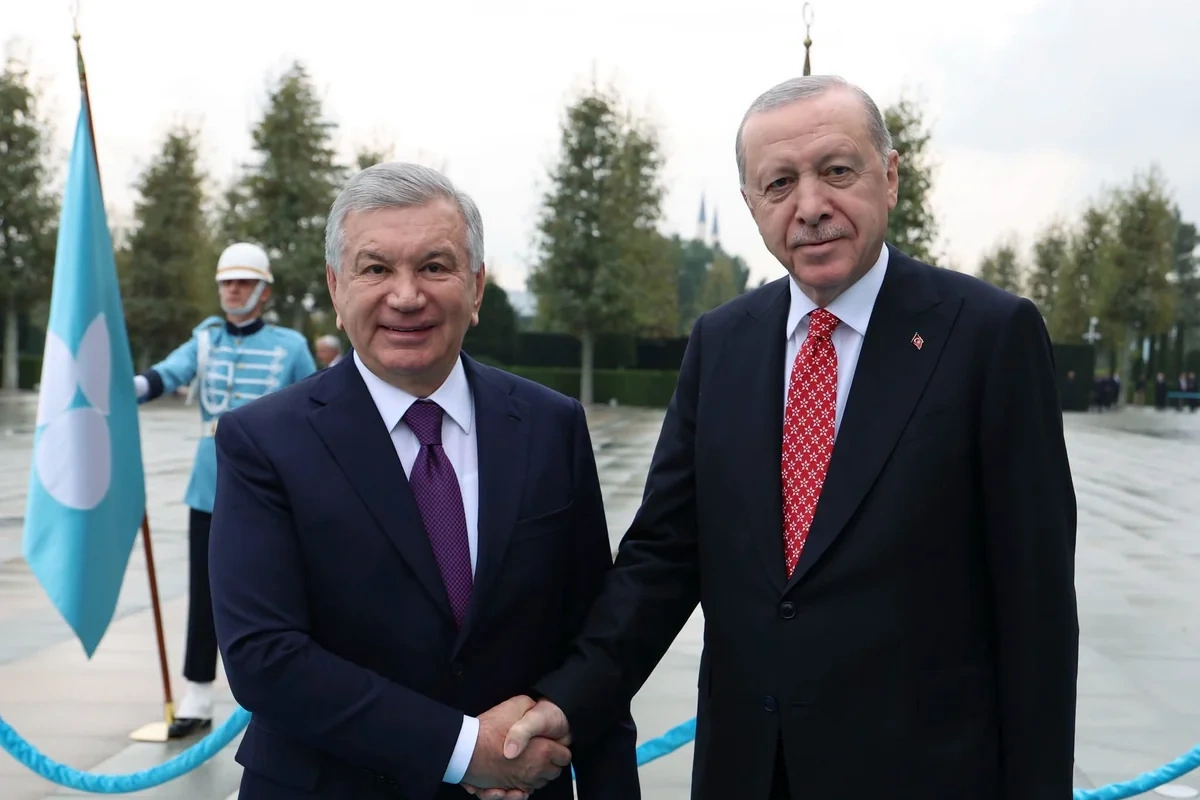 Ərdoğan Mirziyoyevlə görüşdə TDT-nin güclənəcəyini bildirib