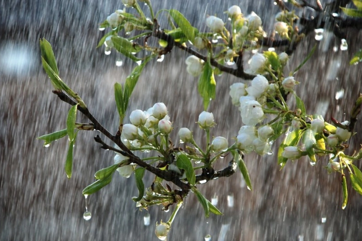 How long will the unstable weather in Azerbaijan last?