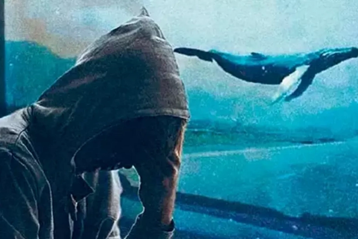 Кошмар прошлых лет возвращается: как защитить детей от игры Синий кит?