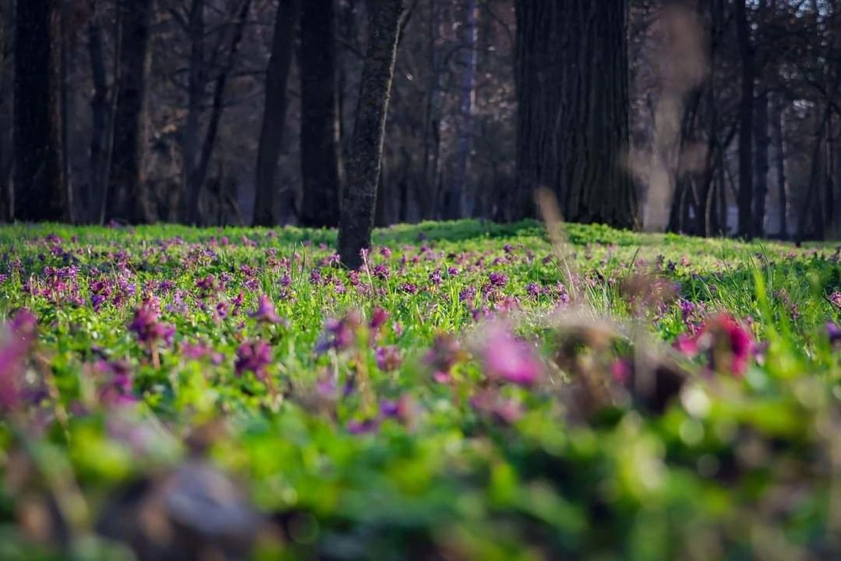 Sabaha 23° isti gözlənilir