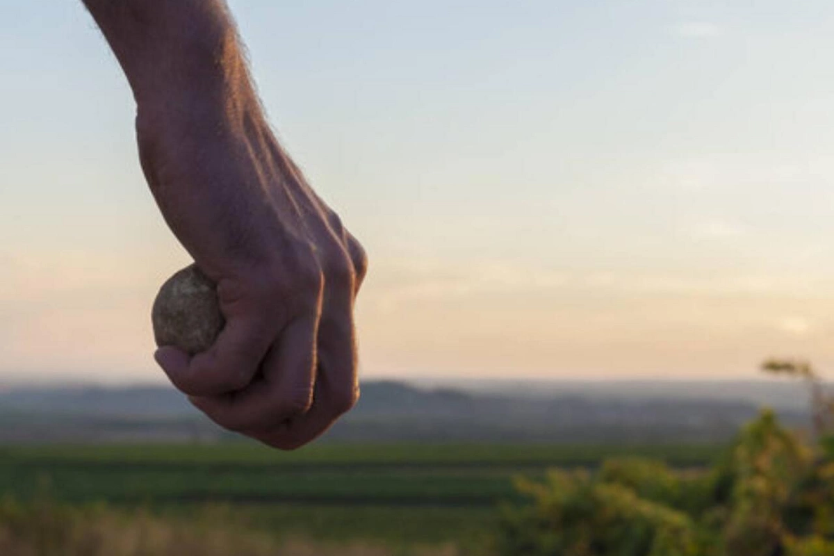 Sürət qatarına daş atan daha 4 yeniyetmə müəyyən edilib