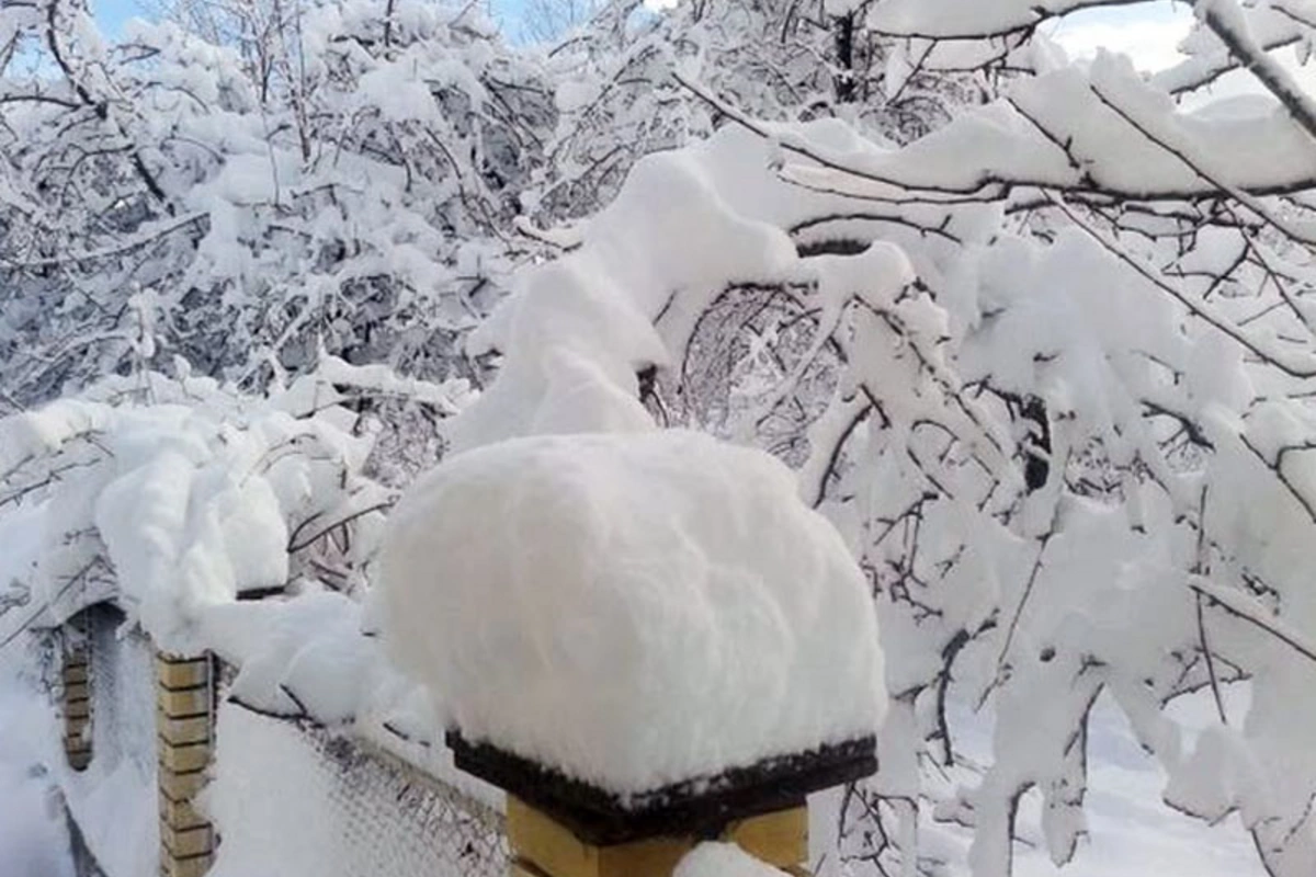 Bu ərazidə qarın hündürlüyü 41 sm-ə çatıb - FAKTİKİ HAVA