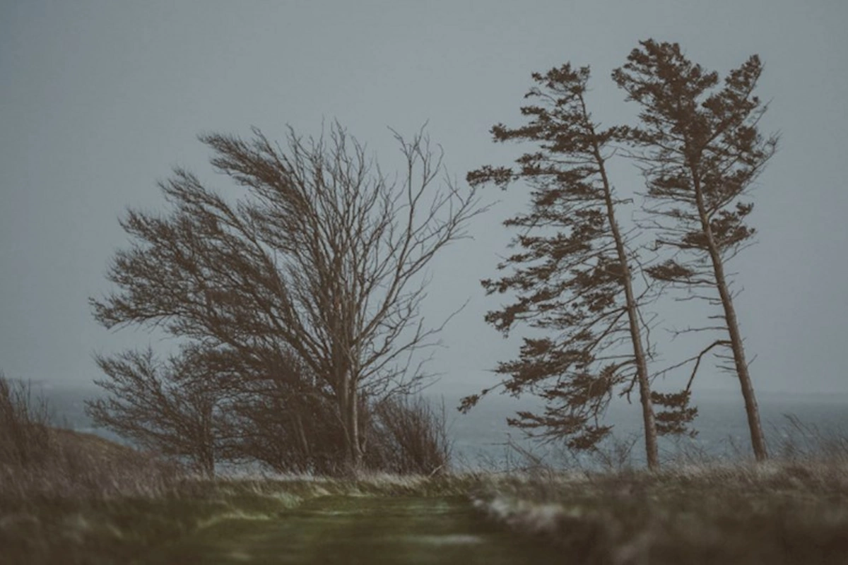 XƏBƏRDARLIQ: Sabah külək güclənəcək