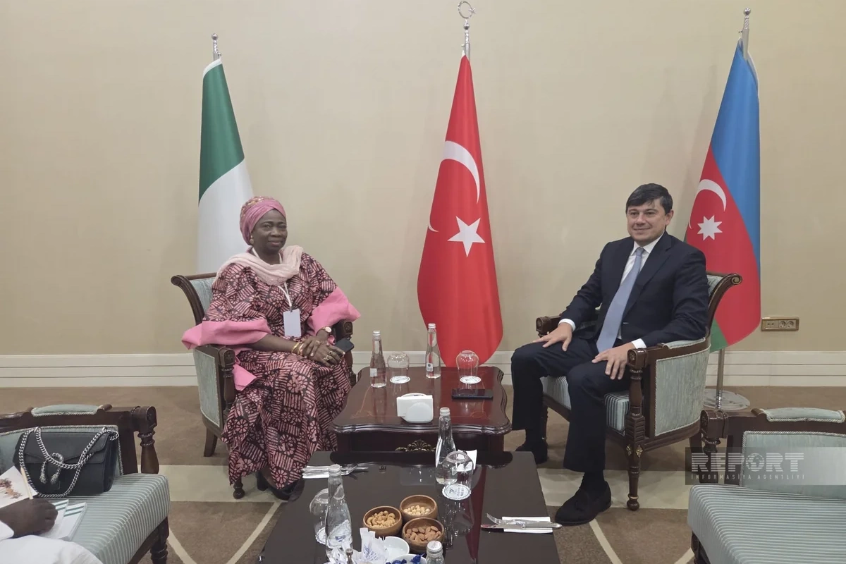 Fuad Muradov Ankarada pakistanlı və nigeriyalı həmkarları ilə diaspor məsələlərini müzakirə edib