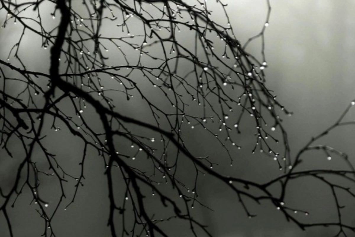 Bakıda və bölgələrdə arabir çiskin olacaq - PROQNOZ