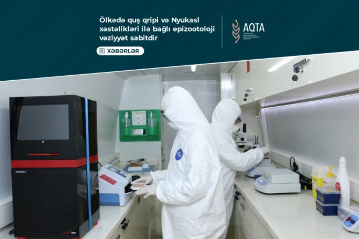 В Азербайджане подведены итоги мониторинга по птичьему гриппу