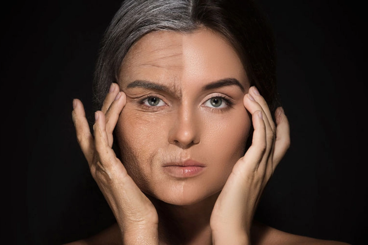 Found the main possible factor of biological aging Found the main possible factor of biological aging