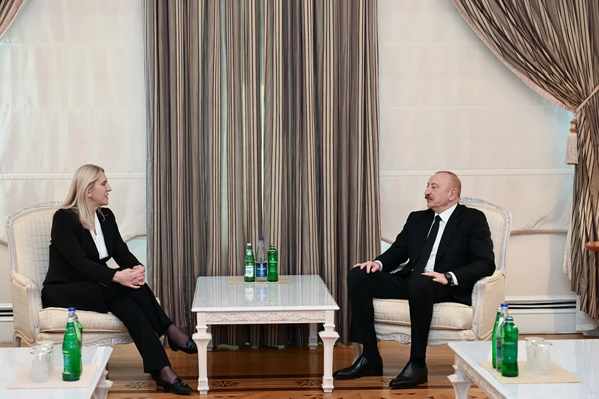 İlham Əliyev Bosniya və Herseqovina Rəyasət Heyətinin üzvü ilə görüşüb
