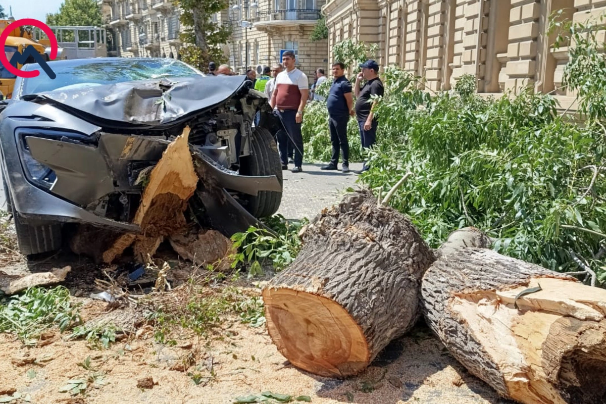 Bakının mərkəzində sükanı bloklanan maşın ağaca çırpıldı - GÖRÜNTÜLƏR