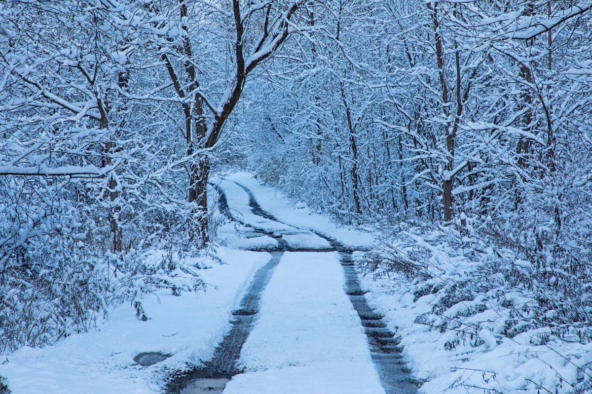 Sabah bəzi rayonlara qar yağacaq - Yollar buz bağlayacaq