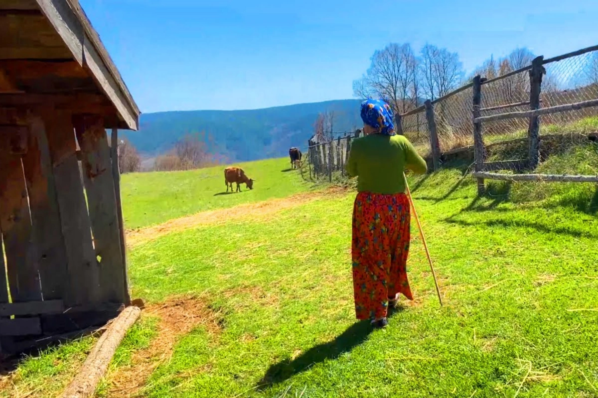 Kəndə köçüb, banka bağlayıb, toyuq saxlayan MƏŞHURLAR - SİYAHI