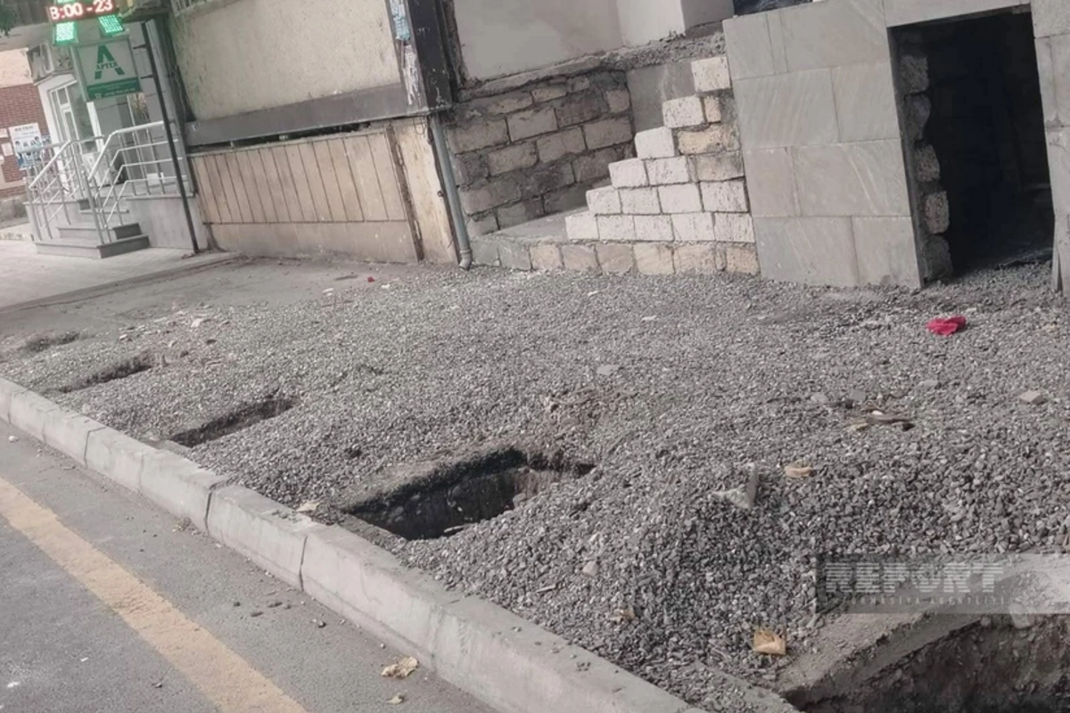 Xaçmazda şam və qovaq ağacları məhv edilib, araşdırma aparılır Xaçmazda şam və qovaq ağacları məhv edilib, araşdırma aparılır
