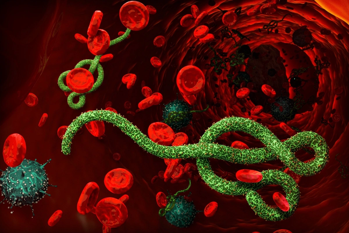 Scientists were able to defeat a dangerous virus that everyone feared