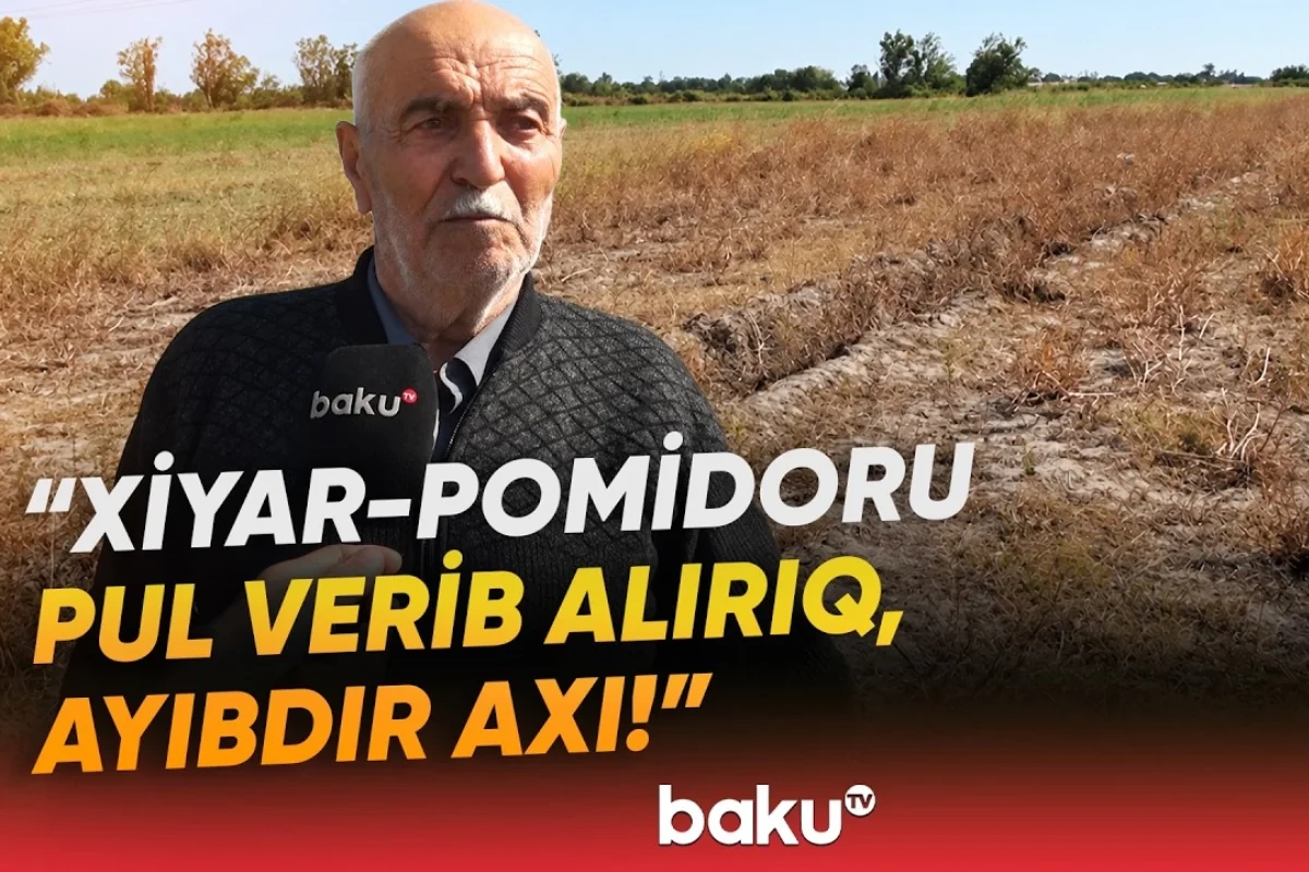Əkin sahələri susuzluqdan məhv olan sakinlər şikayətçidir