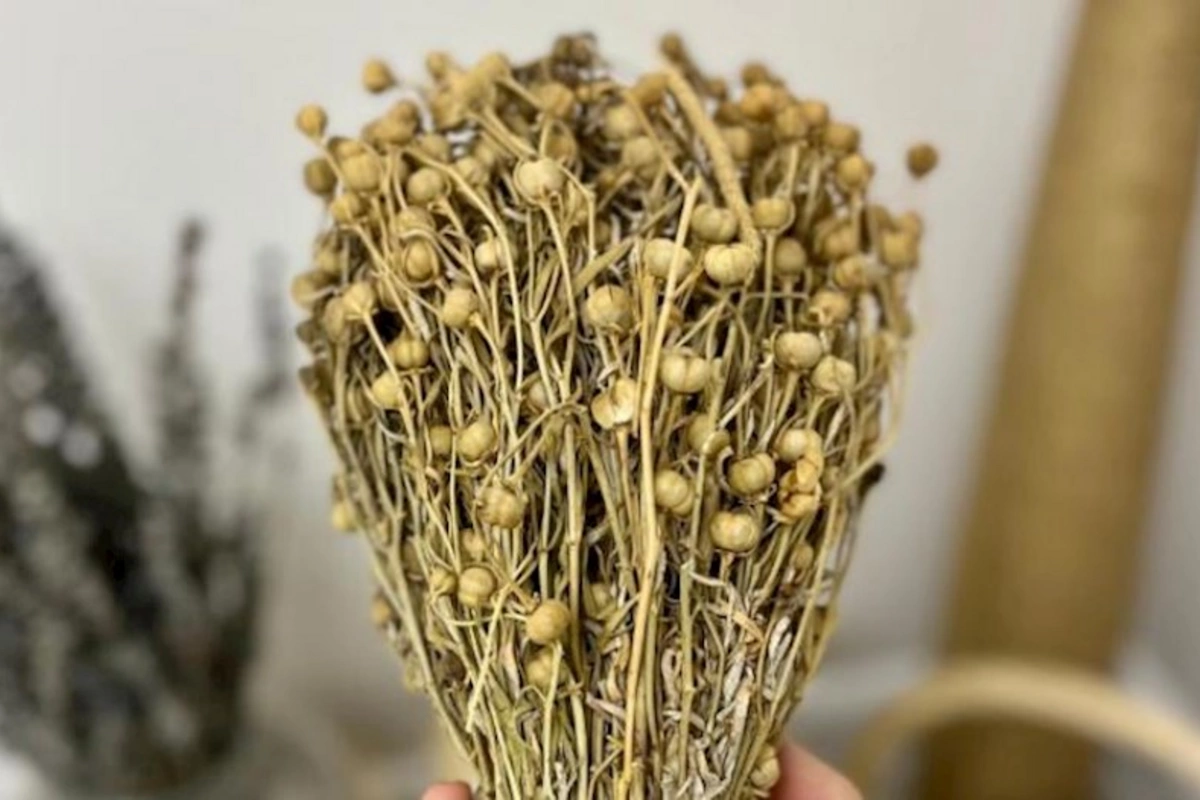 Dövlət Dəniz və Liman Agentliyi üzərliklə bağlı dənizçilərə xəbərdarlıq edib