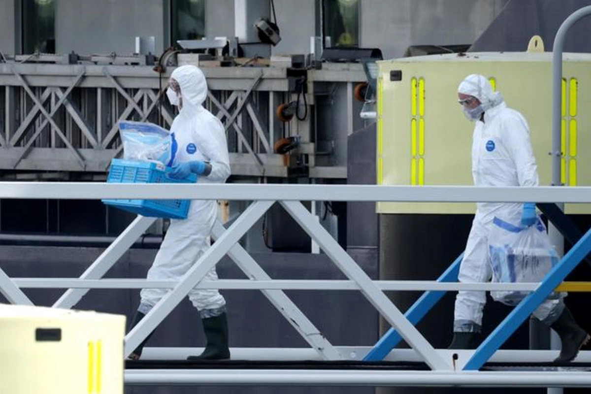 WHO reported an increase in the number of hantavirus infections