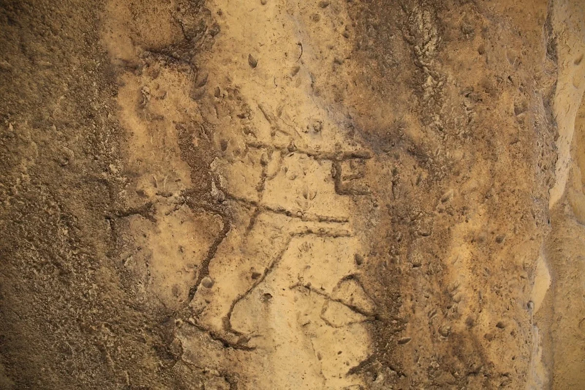 Qobustanda yeni qayaüstü təsvirlər aşkar olunub