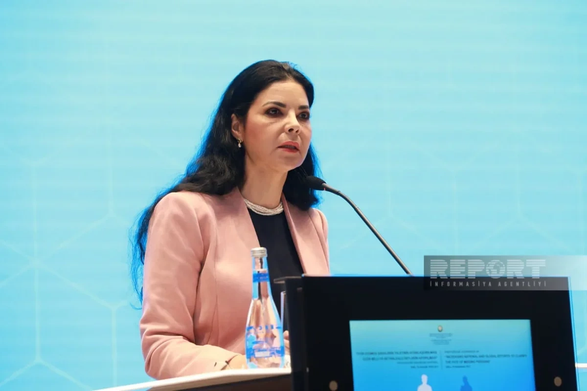 Ana Birçall İranın Azərbaycana hücumunu pisləyib