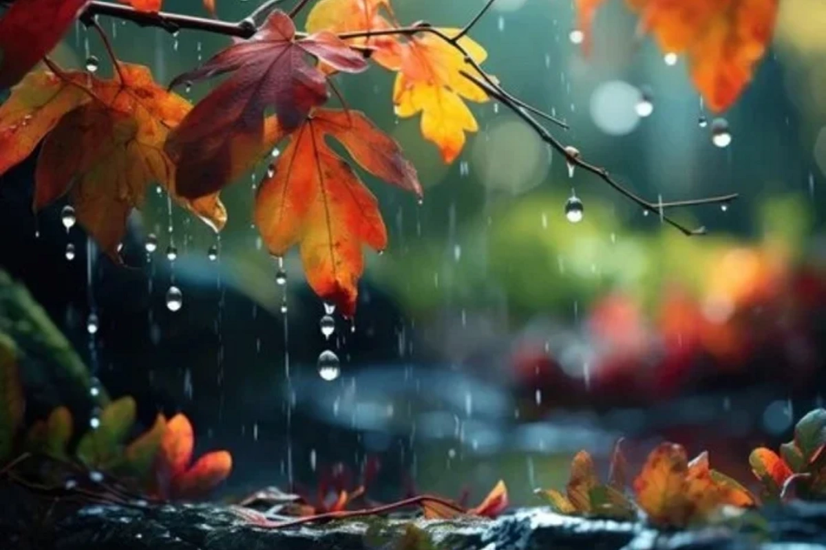 Yağıntılı hava BU TARİXƏ QƏDƏR DAVAM EDƏCƏK - FAKTİKİ HAVA Yağıntılı hava BU TARİXƏ QƏDƏR DAVAM EDƏCƏK - FAKTİKİ HAVA