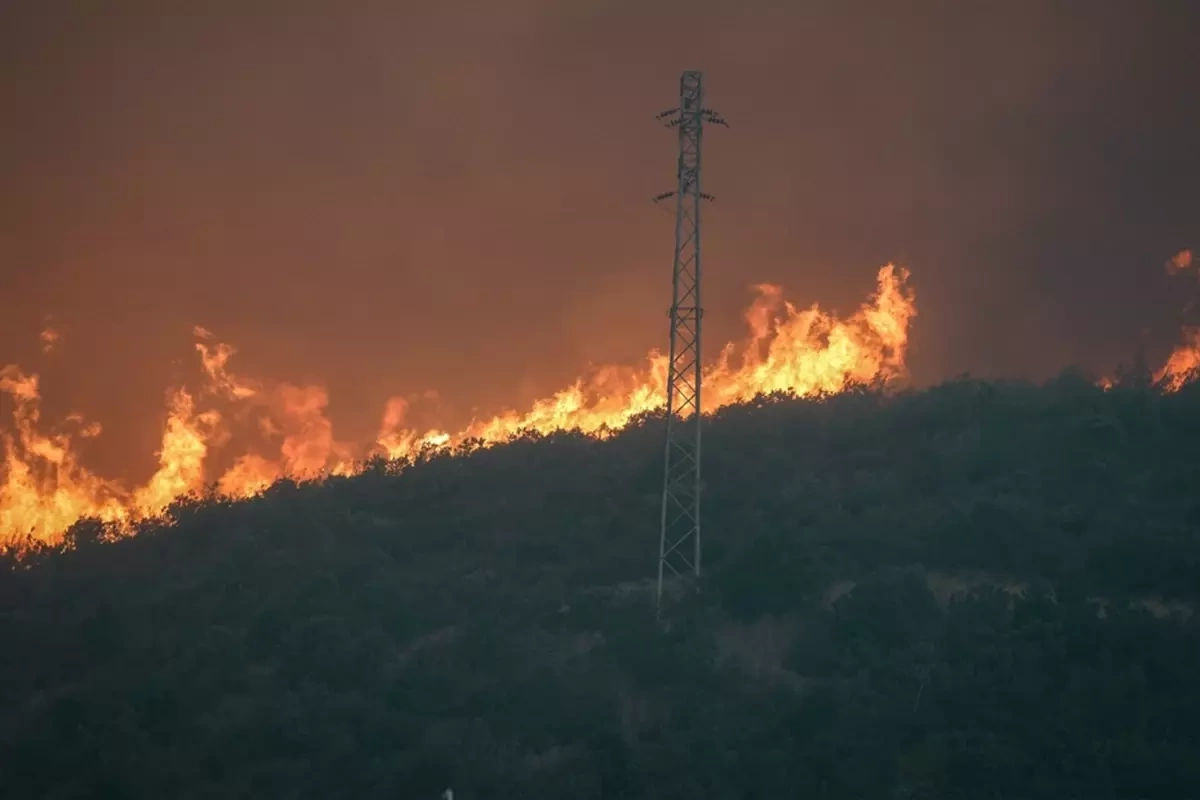 Türkiyədə meşə yanğınlarında 10 nəfər həyatını itirdi Türkiyədə meşə yanğınlarında 10 nəfər həyatını itirdi