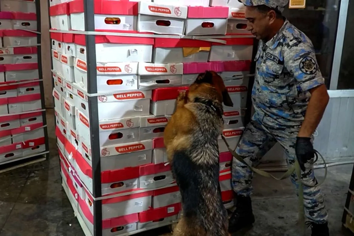 İrandan Rusiyaya 25 kiloqramdan çox marixuana keçirilməsinin qarşısı alınıb