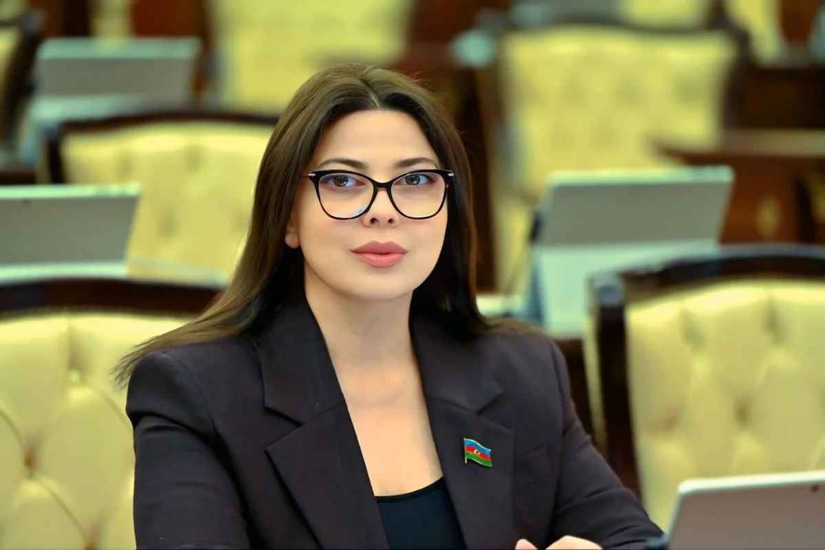 Avropa Parlamentinin Azərbaycana qarşı qəbul etdiyi qərəzli qətnamə gülünc doğurur