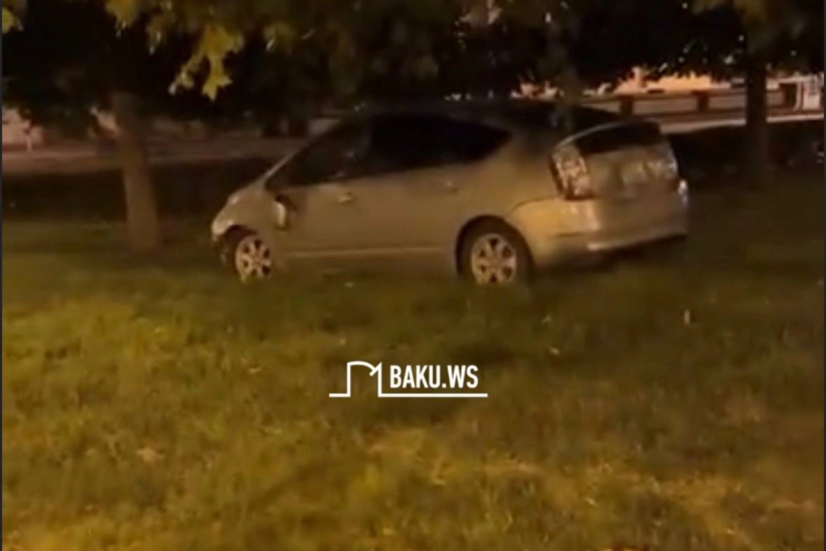 Yuxulu Prius sürücüsü avtomobilini Qış Parkına saldı