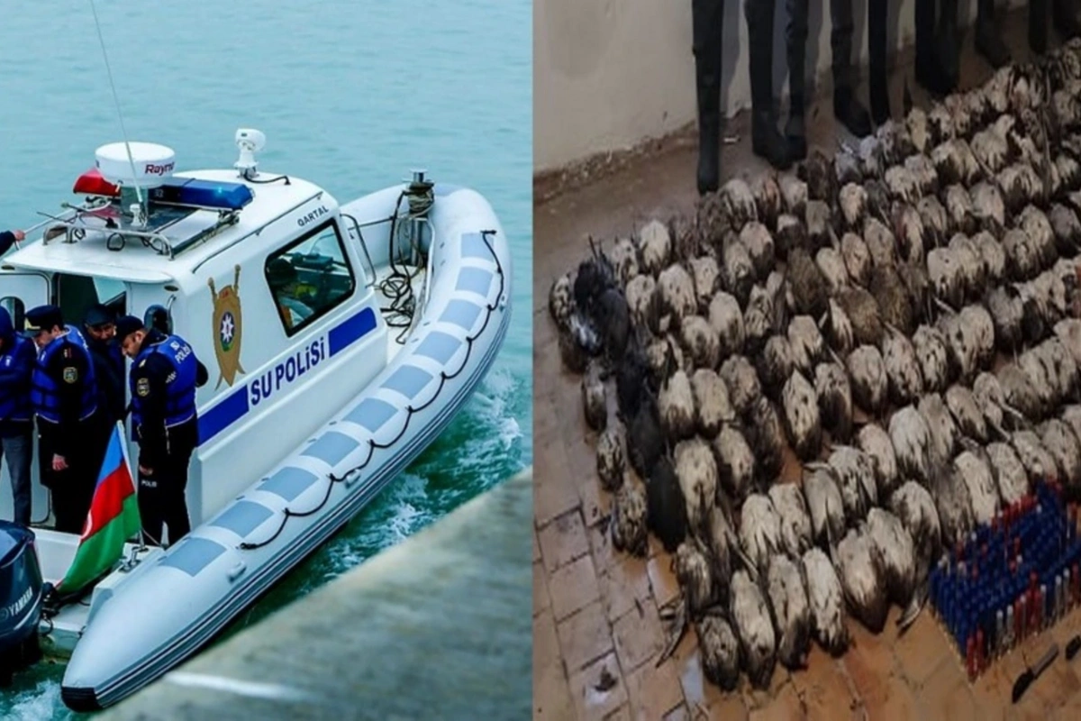 Qırmızı Kitaba düşən çöl quşlarını ovlayan şəxslər saxlanılıblar