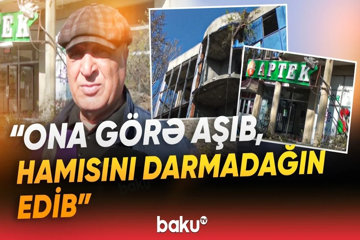 Mingəçevirdə iri ağac üçmərtəbəli obyektin üzərinə aşdı, aptekə ziyan dəydi
