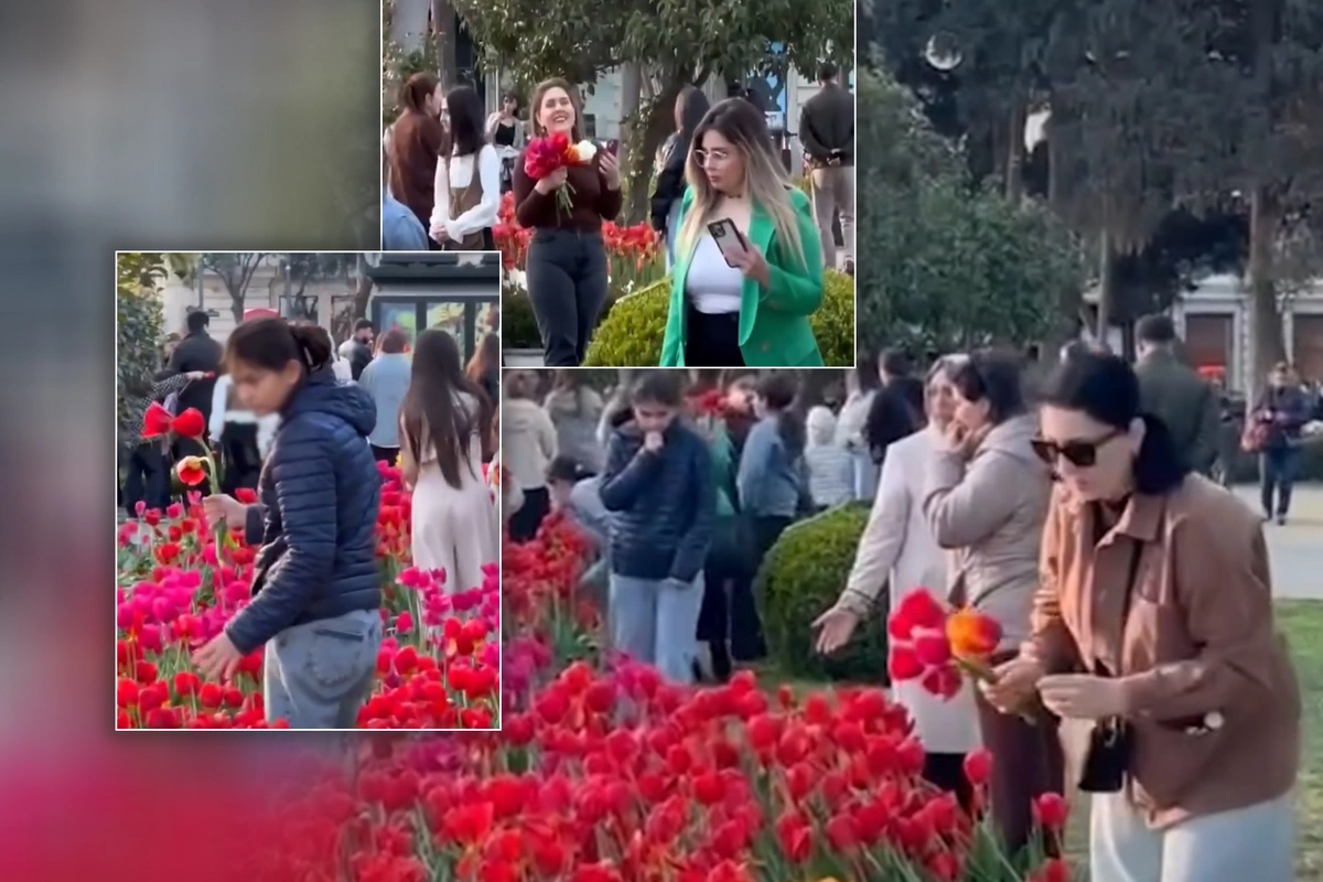 Bakı Bulvarındakı əkilən gülləri qopararaq buket belə düzəldiblərmiş - YENİ VİDEO