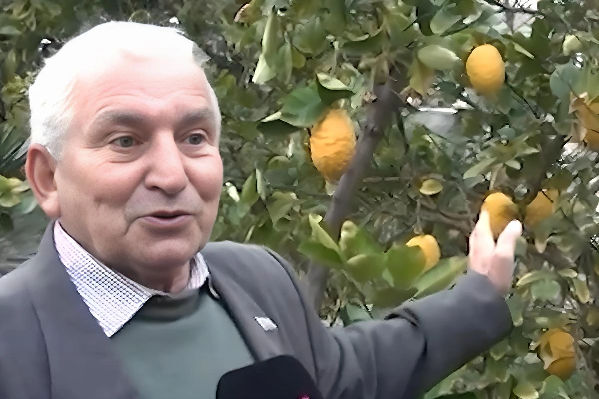 76 yaşlı sakin qayınatasından qalan məhəlləni gülüstana çevirib 76 yaşlı sakin qayınatasından qalan məhəlləni gülüstana çevirib