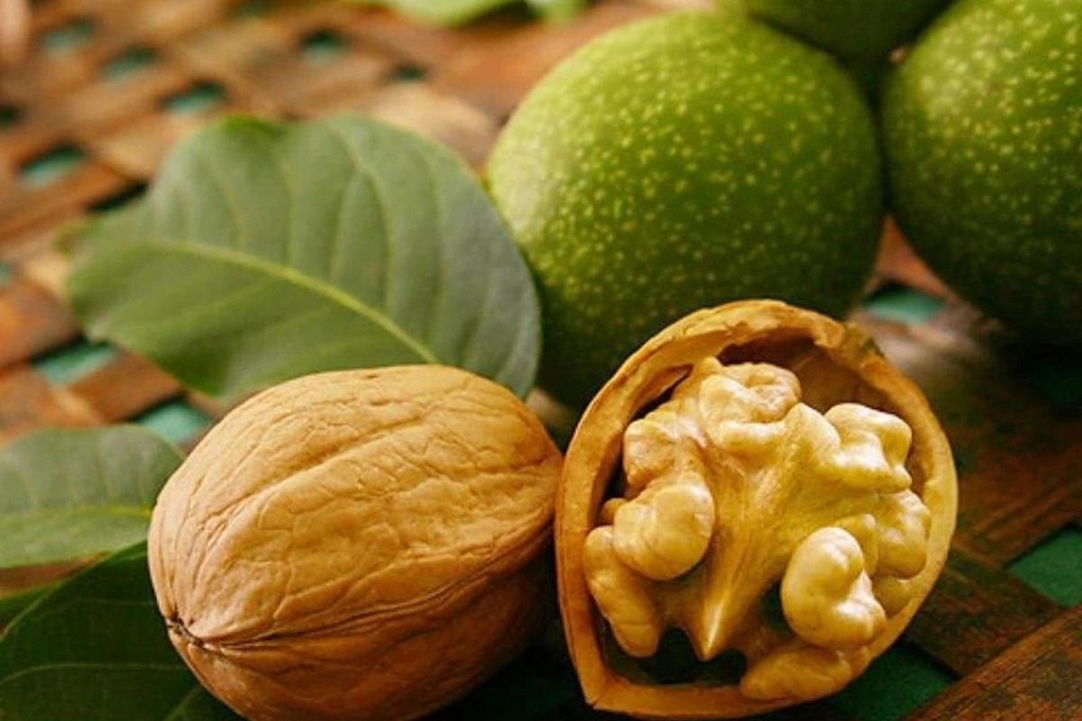 Payızın təbii dərmanı sayılan təzə qozun faydaları - Gündə nə qədər yemək olar?