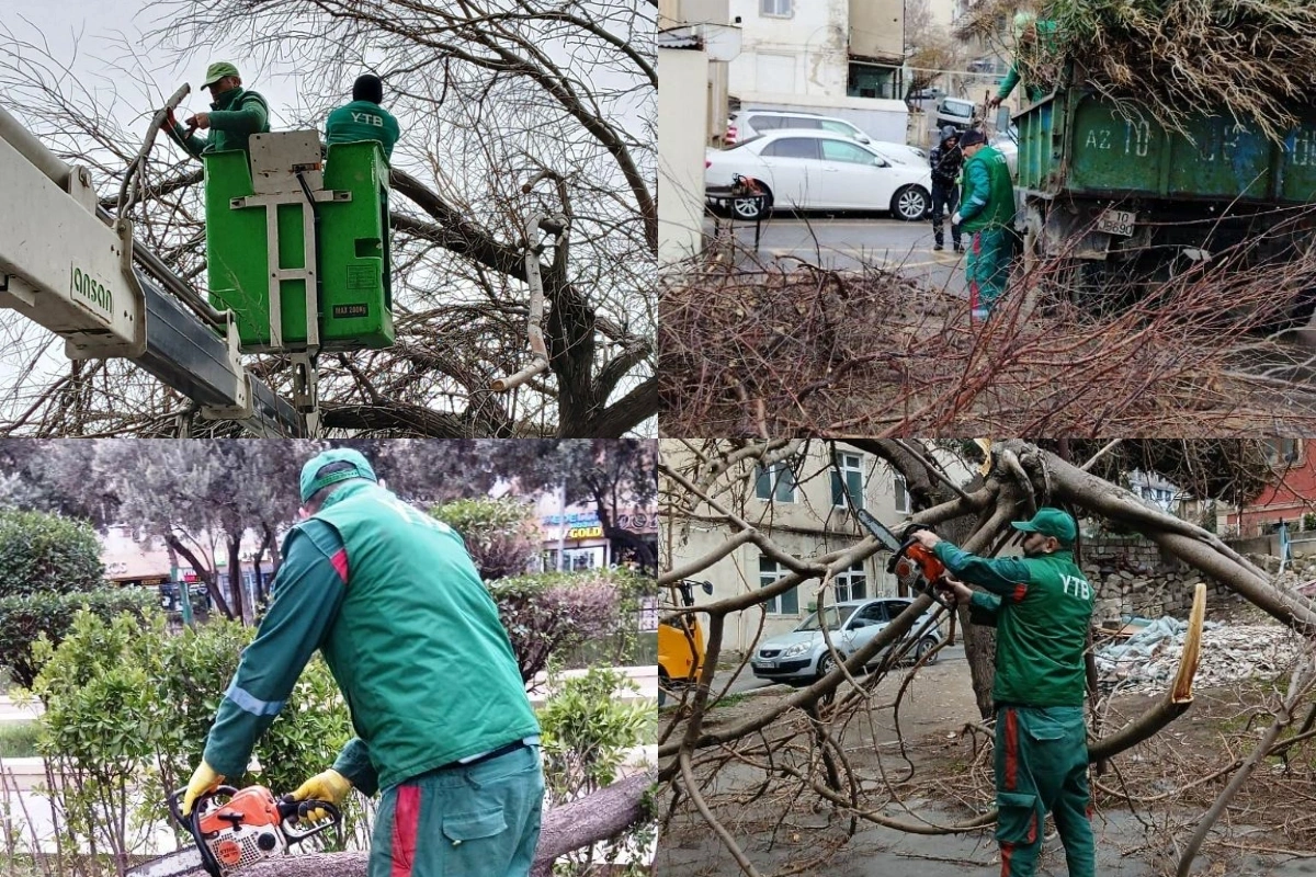 Сильный ветер привел к удручающим последствиям в  Баку